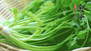 挑選鮮嫩的香菜，洗干凈后，處理成小段。
